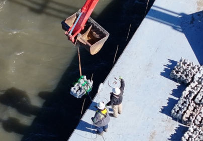 cajun coral restores lost habitats outline