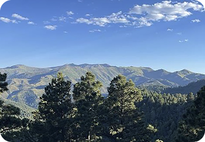 Donations Aid Victims of New Mexico Fires outline