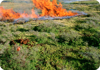  Sharing Resources to Fight Los Angeles’ Wildfires  outline